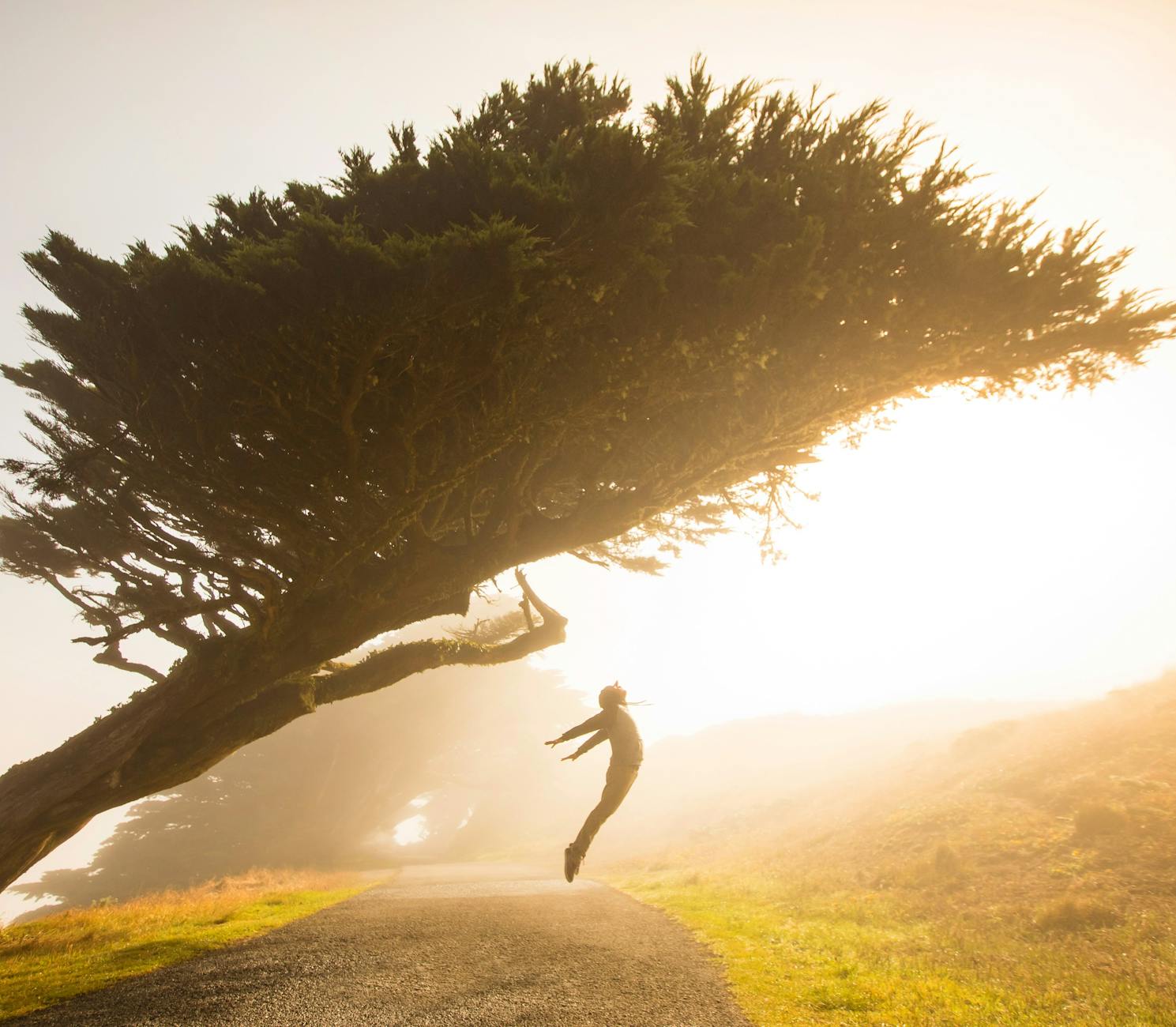 Fear of Letting Go of our Eating Issues